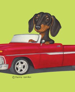 Black Dachshund in Red Truck