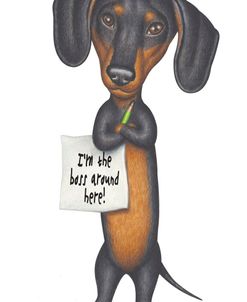 Black Dachshund Holding Green Pencil