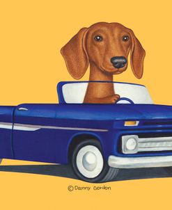 Brown Dachshund Blue Truck