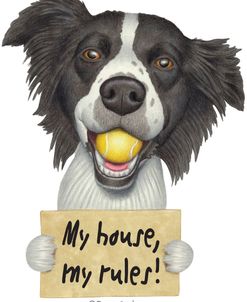 Border Collie Ball in Mouth