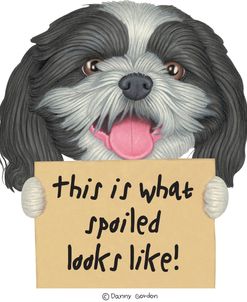 Black White Shih Tzu with Sign