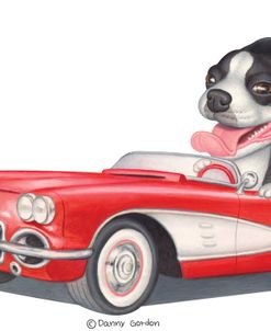 Boston Terrier in Red Corvette