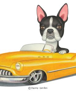 Boston Terrier in Yellow Car