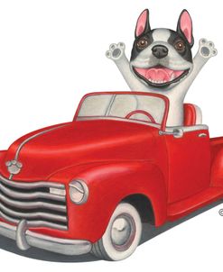 Happy Boston Terrier in Red Truck