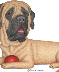 Mastiff Red Ball