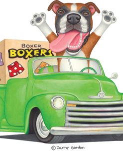 Boxer in Green Truck with Boxes
