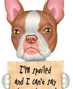 Red Boston Terrier with Sign