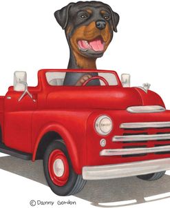 Rottweiler in Red Truck