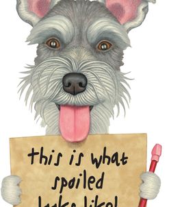 Schnauzer with Sign and Red Pencil