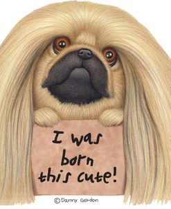 Pekingese with Sign Born Cute