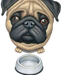 Pug and Bowl Upper Perspective