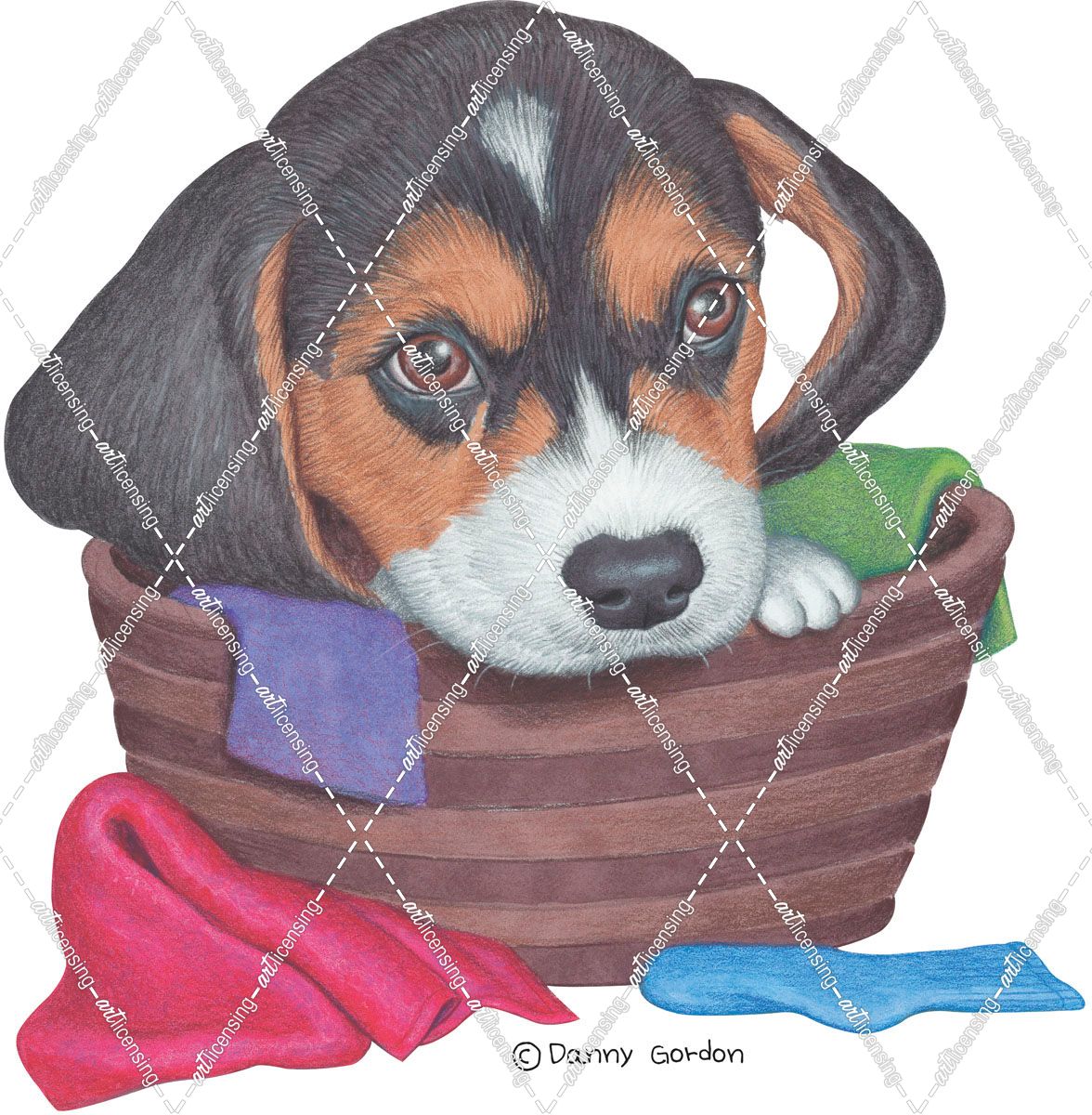 Tri Color Beagle in Basket