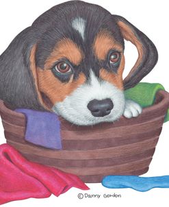 Tri Color Beagle in Basket