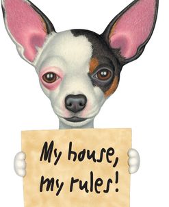 Tri Color Chihuahua Holding Sign