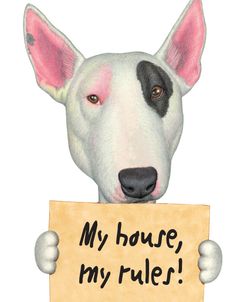 White Bull Terrier with Sign