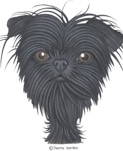 Affenpinscher Bust