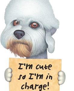 Dandie Dinmont Terrier with Sign