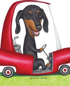 Black Dachshund in Golf Cart