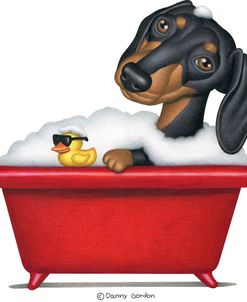 Black Dachshund in Red Tub