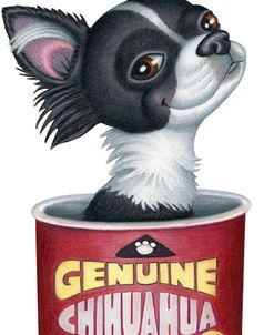 Blk Wht Chihuahua in Container