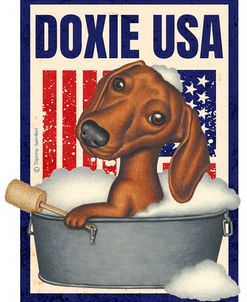 Bubbles Dachshund USA