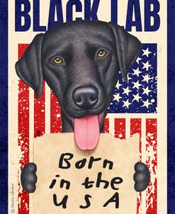 Hunter Black Lab USA