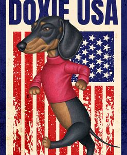 Ollie Dachshund USA