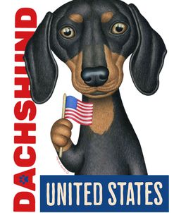 Gus Dachshund US