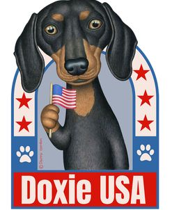 Gus Doxie USA Stars-Paws