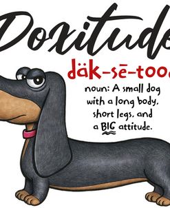Doxitude