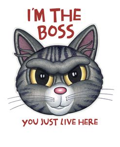 I’m The Boss