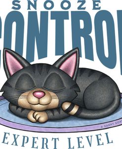 Snooze Control
