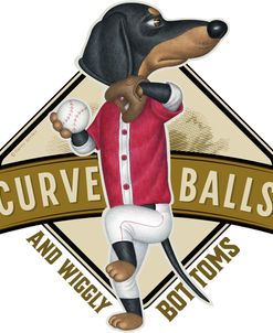 Zippy Curve Ball