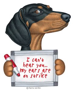 Charlie Dachshund
