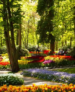 Keukenhof Gardens 2