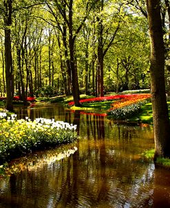 Keukenhof Gardens 4