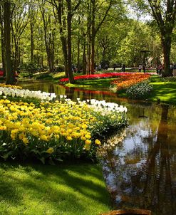 Keukenhof Gardens 18