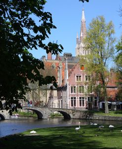 Brugge 41