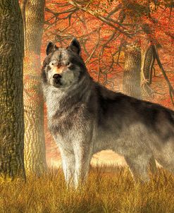 A Wolf In Autumn