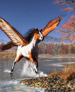 Autumn Pegasus