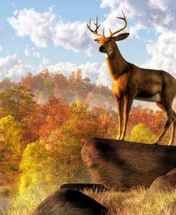 Buck Over Autumn Valley