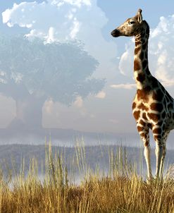 Giraffe And Giant Tree