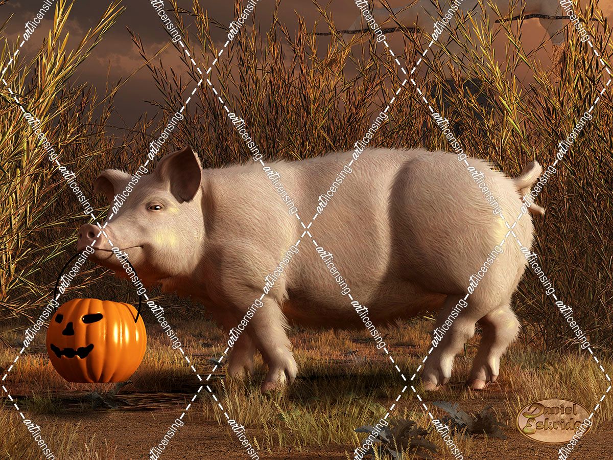 Halloween Pig