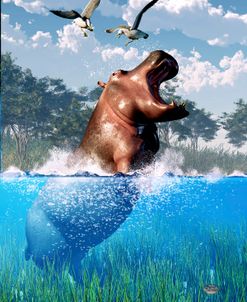 Lunging Hippo