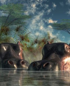 Hippos Coming To Get You