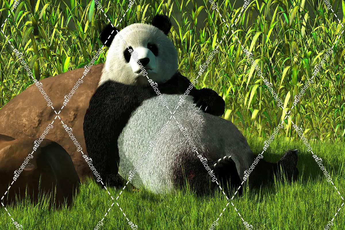 Reclining Panda
