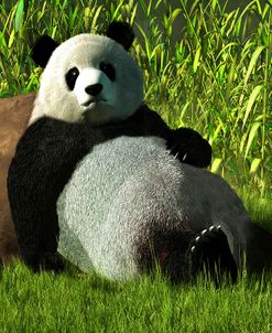 Reclining Panda