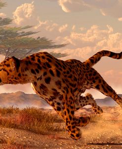 Speeding Cheetah