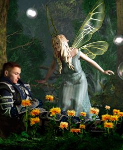 The Knight And The Faerie
