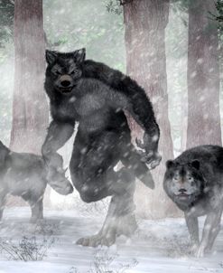 Werewolf And Wolves